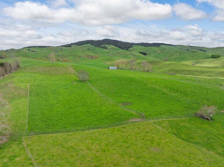 354 Paratu West Road Matamata_27