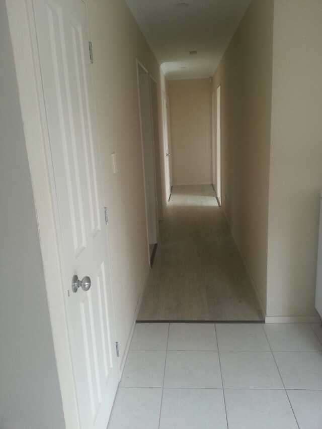 22 Andrusha Place Flat Bush_4