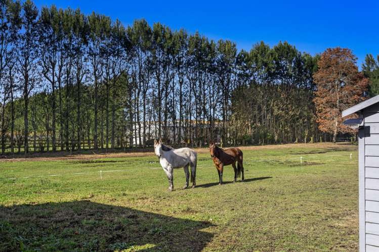 24 Willow Lane Edgecumbe_17