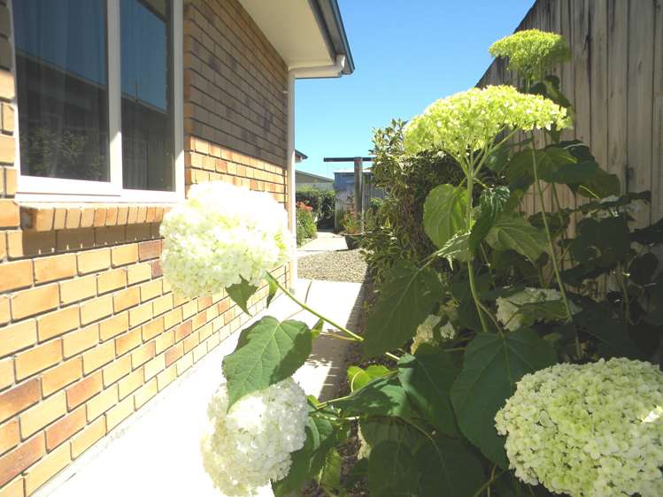 185 Reynolds Drive Te Awamutu_2