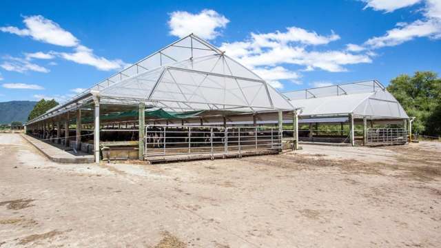 128 Mangamutu Road Murupara Surrounds_4