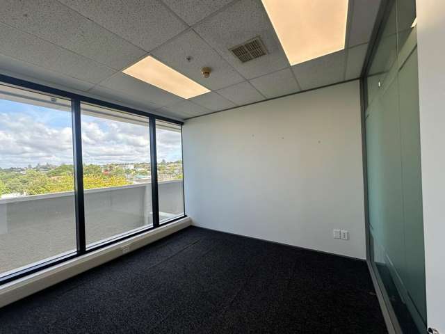 173 Captain Springs Road Onehunga_3