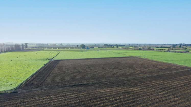 85 West Road Havelock North_8