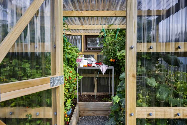 51 Sole Road Ngaere_37