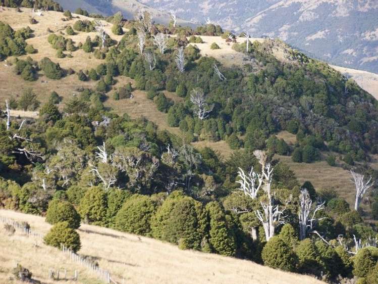 5080 Summit Road Le Bons Bay_7