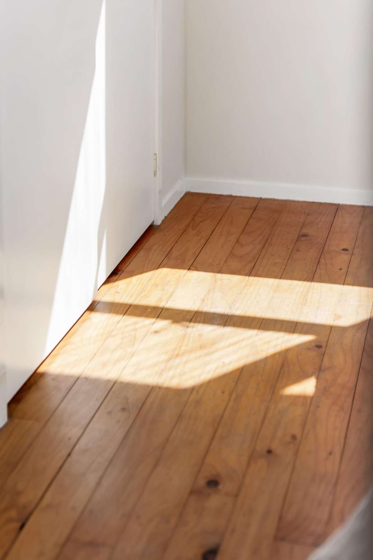 2/25 Margaret Place_5