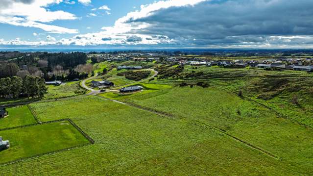 14 Tuscany Way Fitzherbert_2