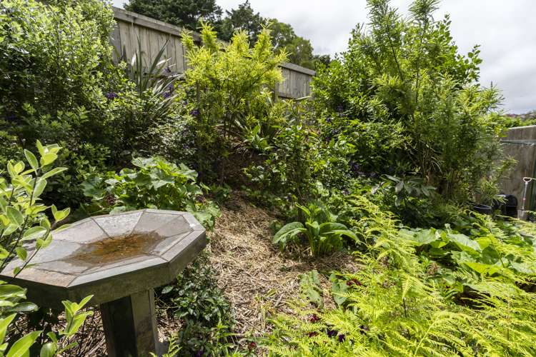 1280 Whangarei Heads Road Parua Bay_25