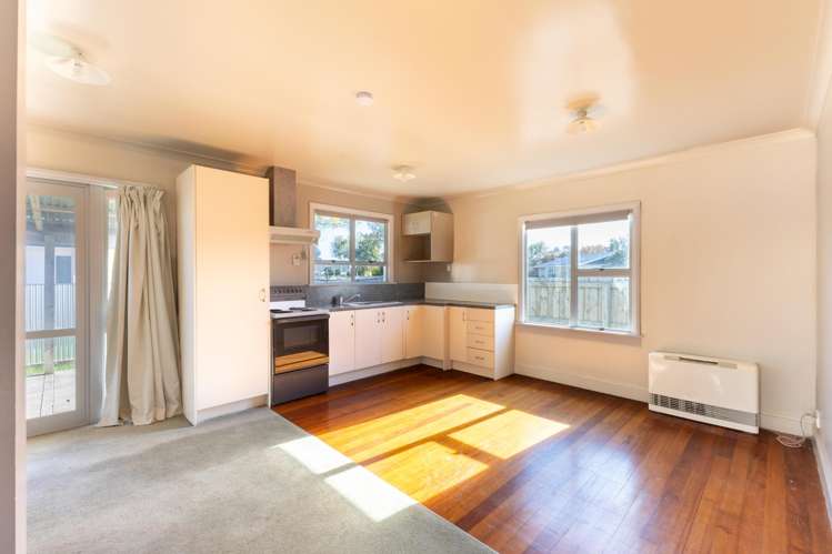 46A Kaimanawa Street_2