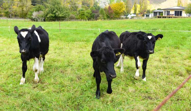 1038 State Highway 4_1