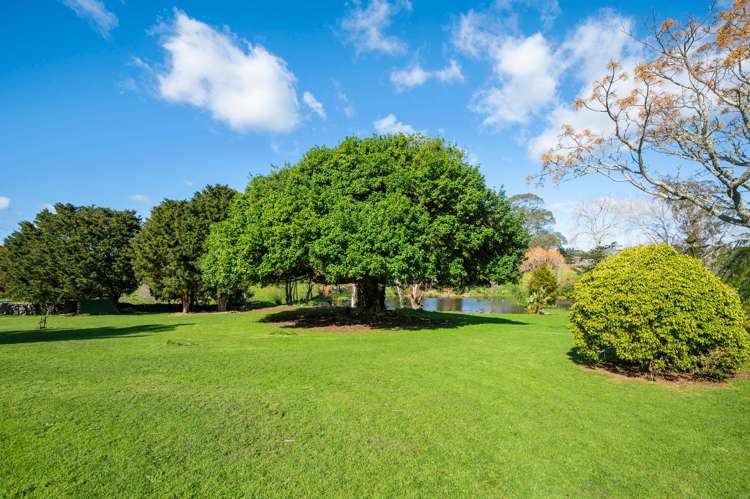 638 Ngunguru Road Glenbervie_22