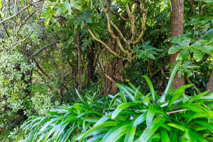 18 Perth Street Ngaio_10