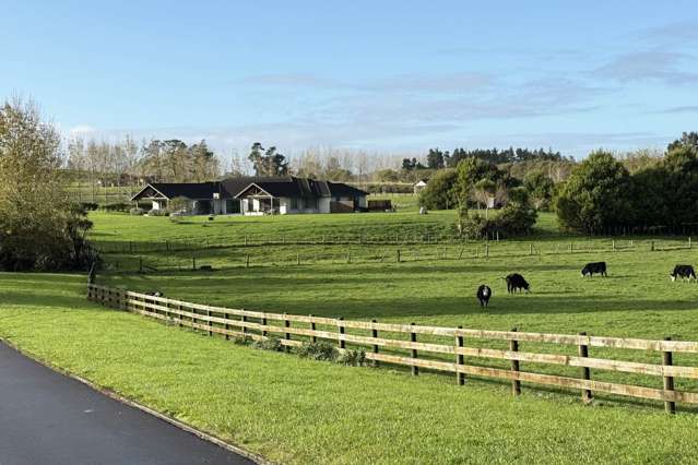 166J Postman Road Dairy Flat_3