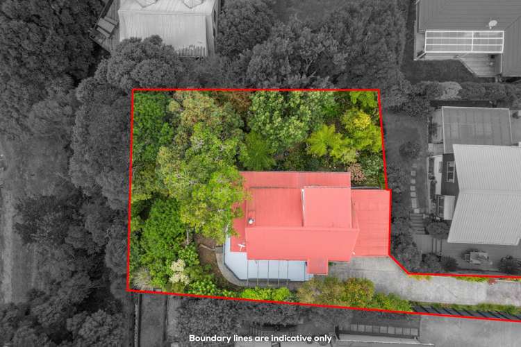 36c Homestead Road Manly_18