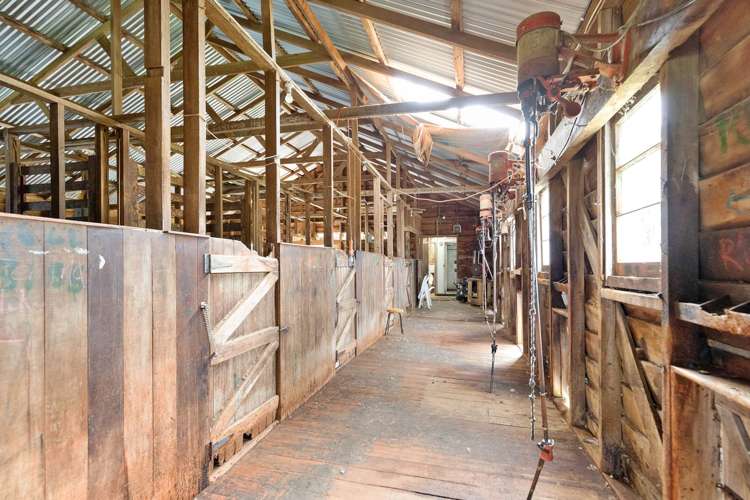 895 Wairamarama Onewhero Road Onewhero_28