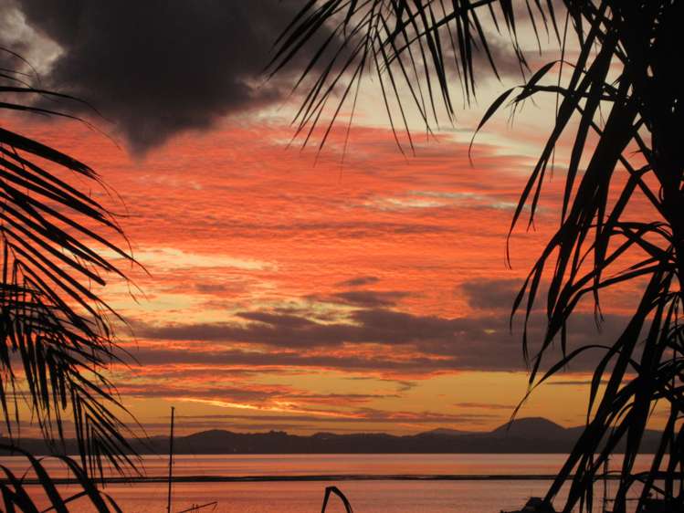 1950 Whangarei Heads Road Whangarei Heads_22