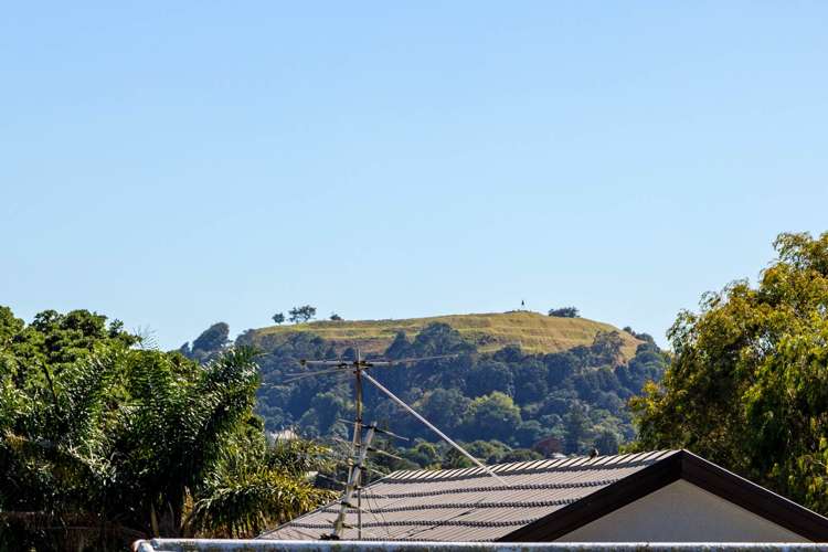 109 Landscape Road Mount Eden_21