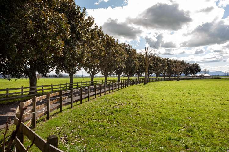 768 Piako Road Gordonton_18