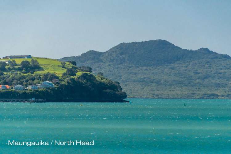 11 York Street Parnell_18