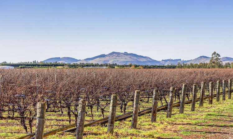 292 Mount Brown Road Amberley_4