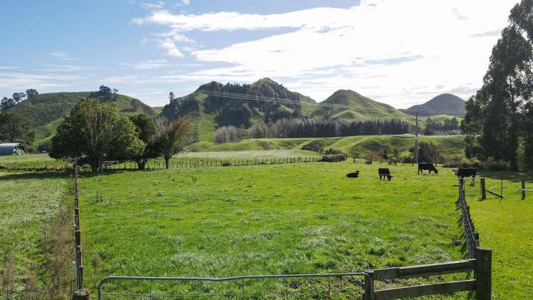 618 Te Weta Road Waikite Valley_14