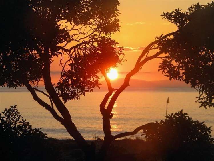 212 Rarangi Beach Road Rarangi_27