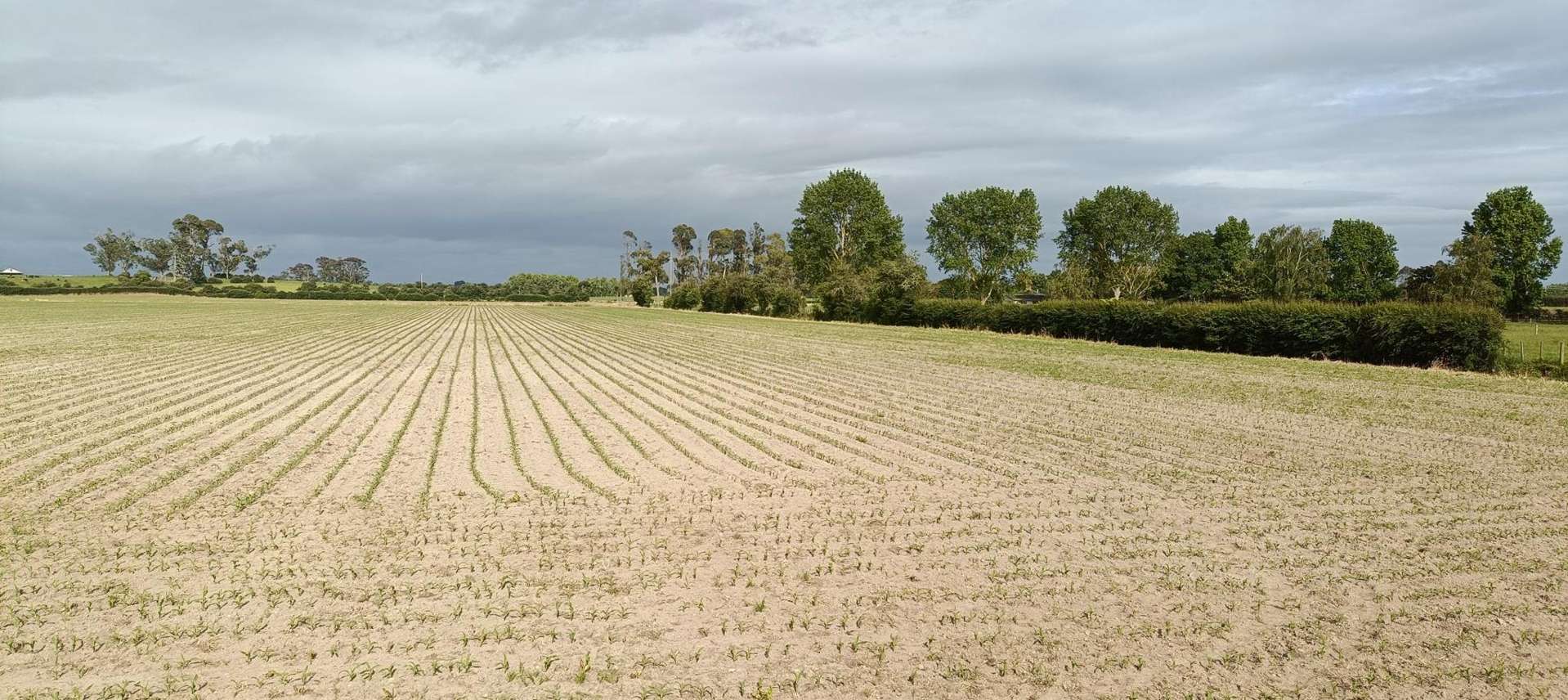 53 Friedlander Road Eureka_0