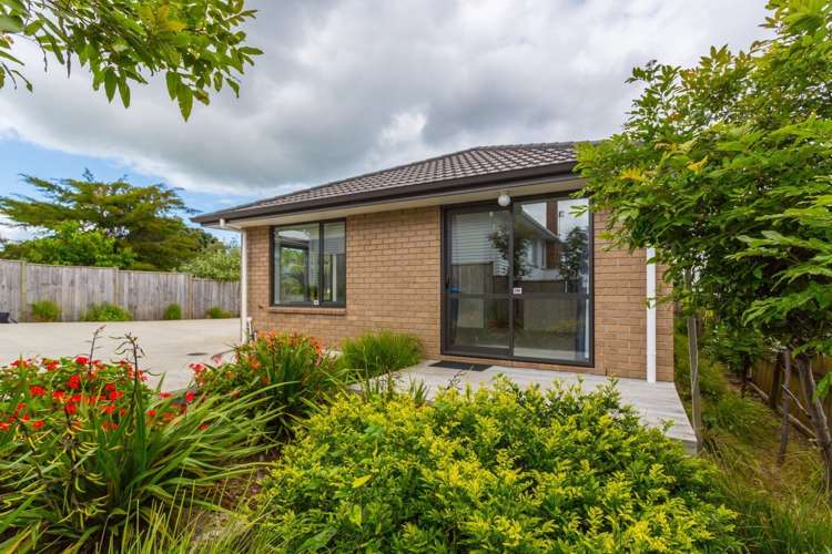 36 Farrelly Avenue Wesley_18