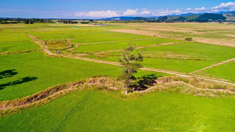 134 Waikawa Beach Road Manakau_4