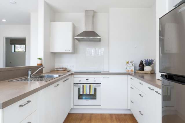 3/8 Hillsborough Terrace Hillsborough_2