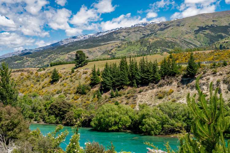 411b Maori Point Road Westland Surrounds_15