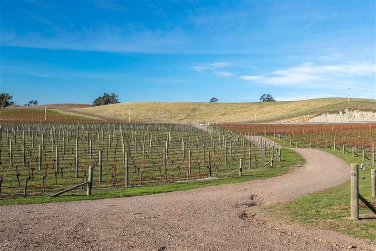 5468 State Highway 1 Seddon_11