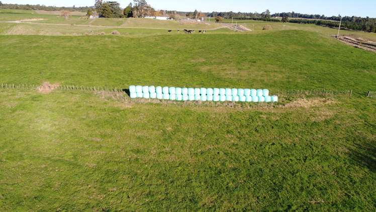 758 Mclaren Falls Road Kaimai_10