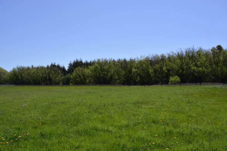 91 Townsend Road Rangiora_6