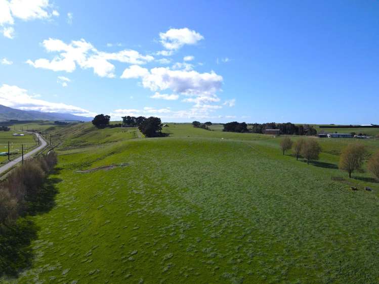 592 Pinfold Road Woodville_7