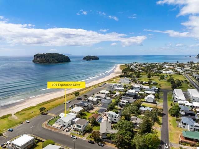 101 Esplanade Drive Whangamata_2