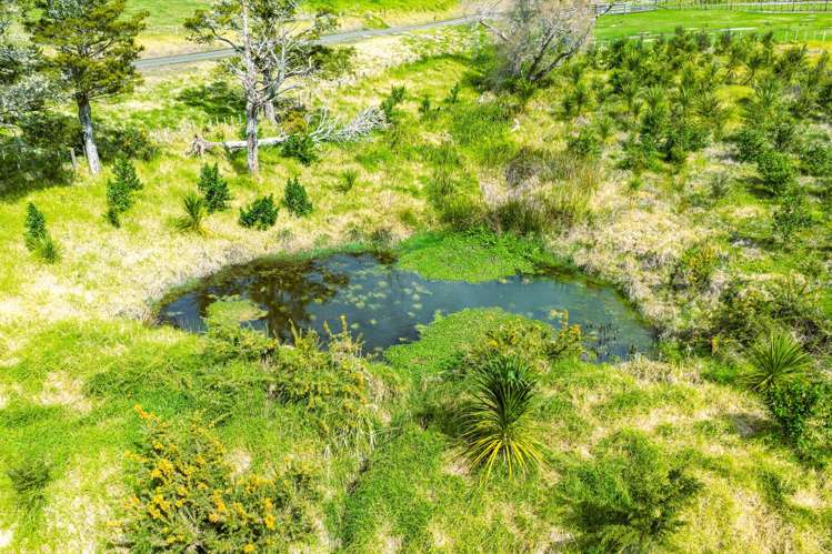 Lot 2 Minnie Casey Rise Matakohe_6