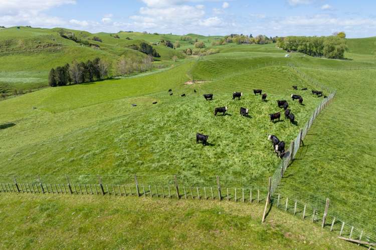 653 Overdale Road Putaruru_5