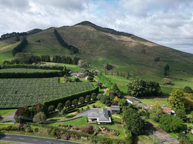 799 Pokuru Road R D 5 Te Awamutu_1