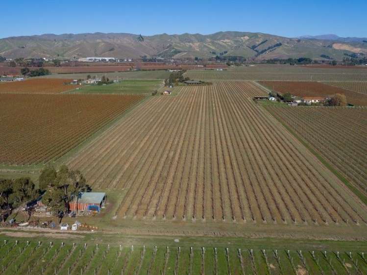 295 Swamp Road Dillons Point_2