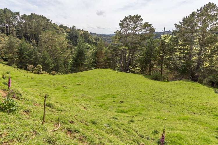 430 Krippner Road Puhoi_7