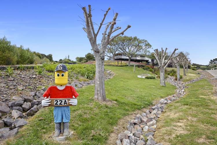 22a Springfield Avenue Ngarimu Bay_18