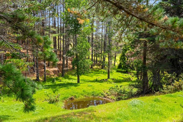 22 Timperley Road Parua Bay_27