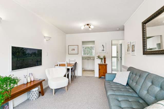 4/29 Hamilton Road Hataitai_2