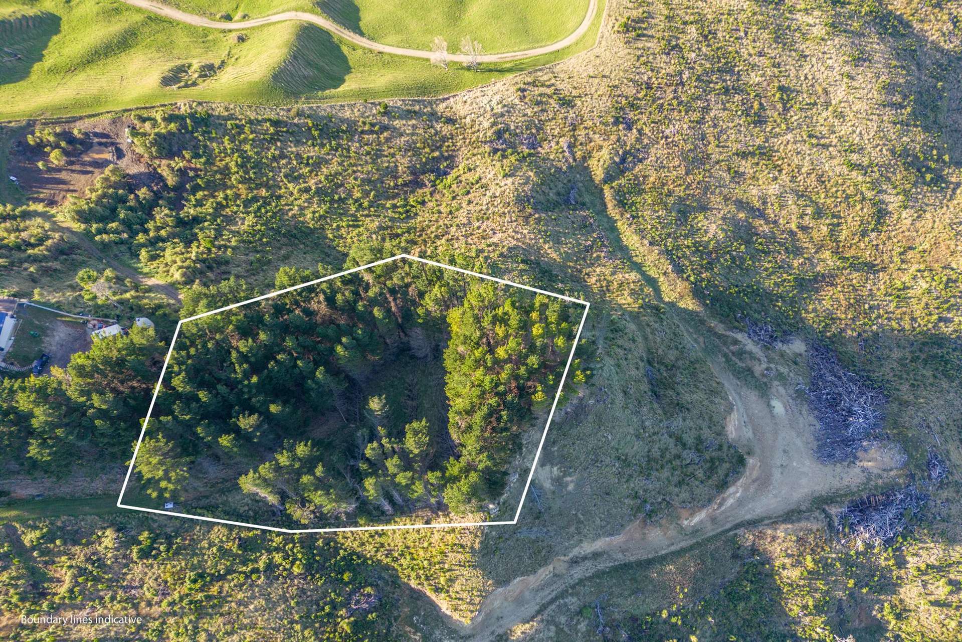 1165C Cooks Tooth Road Porangahau_0