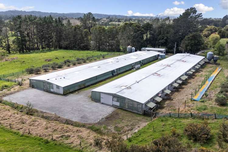118 Motu Road Huapai_11