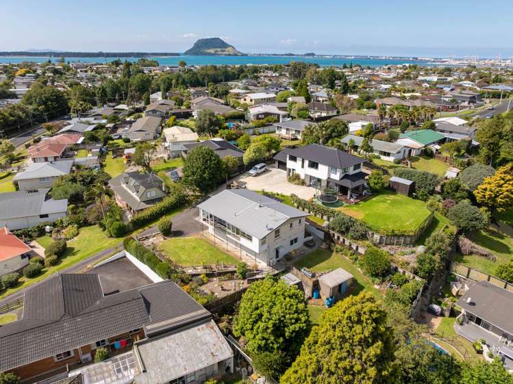 358 Ngatai Road Bellevue_20