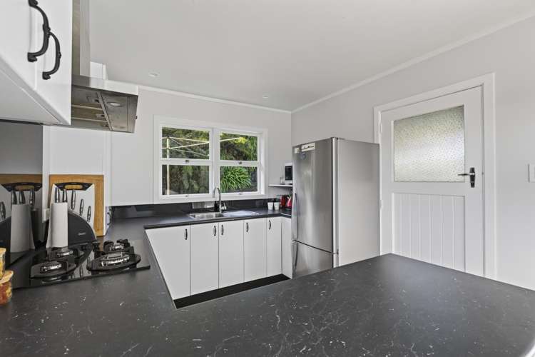 48 Essex Street Vogeltown_11