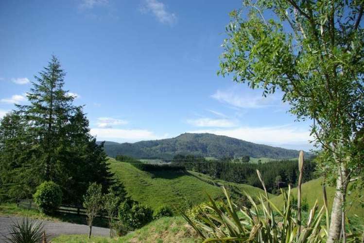 219 Forest Road Oruanui_10