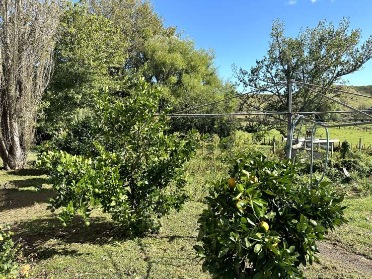 16 Williams Avenue Ohura_12